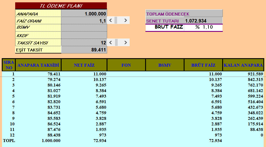 Excel bireysel kredi çalışması