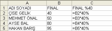 excelde yüzde işlemi