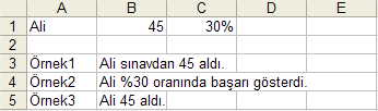 Ayrı Hücrelerdeki Rakam ve Yazıyı Birleştirmek