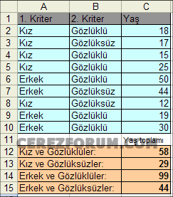 Excel veri toplama