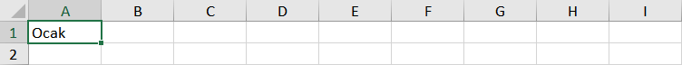 Excel ayları otomatik doldurma