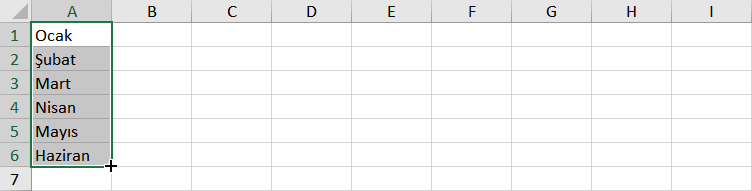 Excel ayları otomatik doldurma