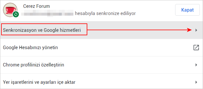 Chrome senkronizasyon seçenekleri