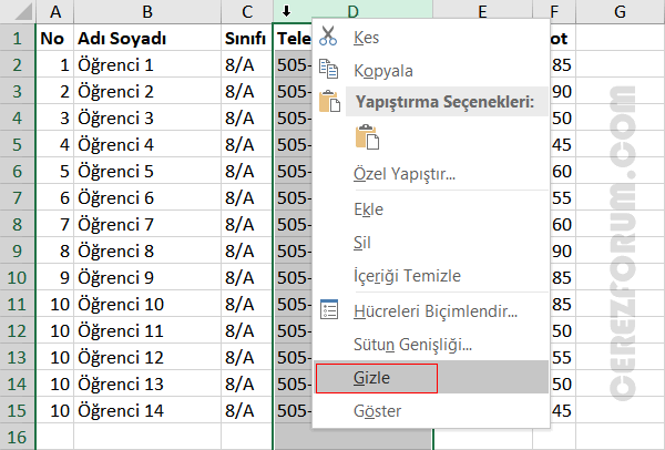 Excel sütun gizleme