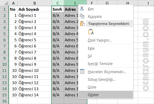 Excel gizli sütunu göster