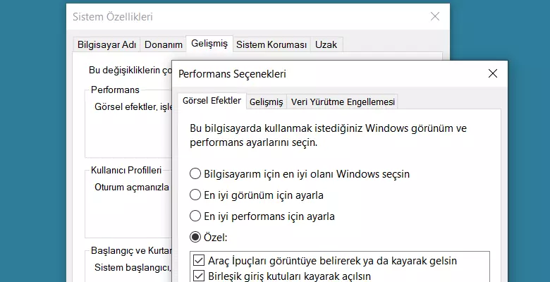 Performans ayarları