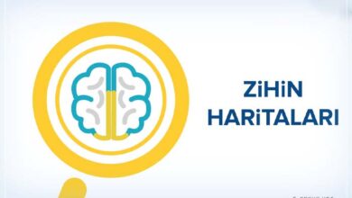 Zihin haritalama