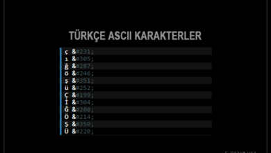 ASCII kodları