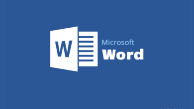 Word Kullanım Alanları