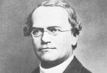 Johann Gregor Mendel