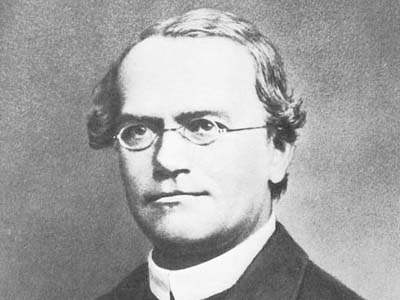 Johann Gregor Mendel