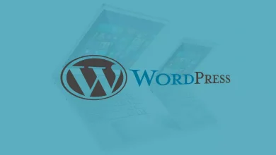 WordPress Yazılara Son Güncelleme Tarihi Ekleme