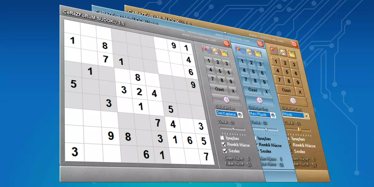 Gelişmiş sudoku programı