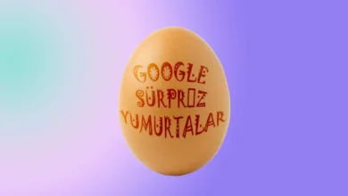 Google'ın Gizli Hazineleri: Sürpriz Yumurtalar