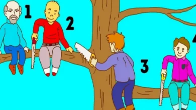 En Aptal Hangisi? - Kişilik Testi