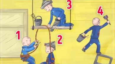 Hangi Sersem Seni Yansıtıyor? Test